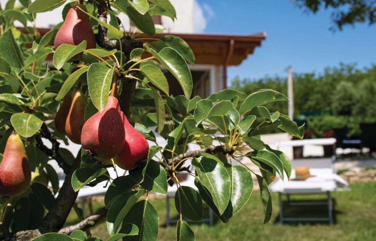 Le Margherite Country House Montefalcone Appennino Exterior photo